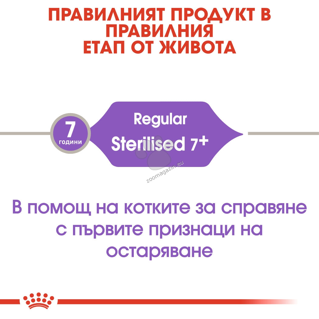 0b3541e698a717df0a7f779141ca5ee1.jpeg