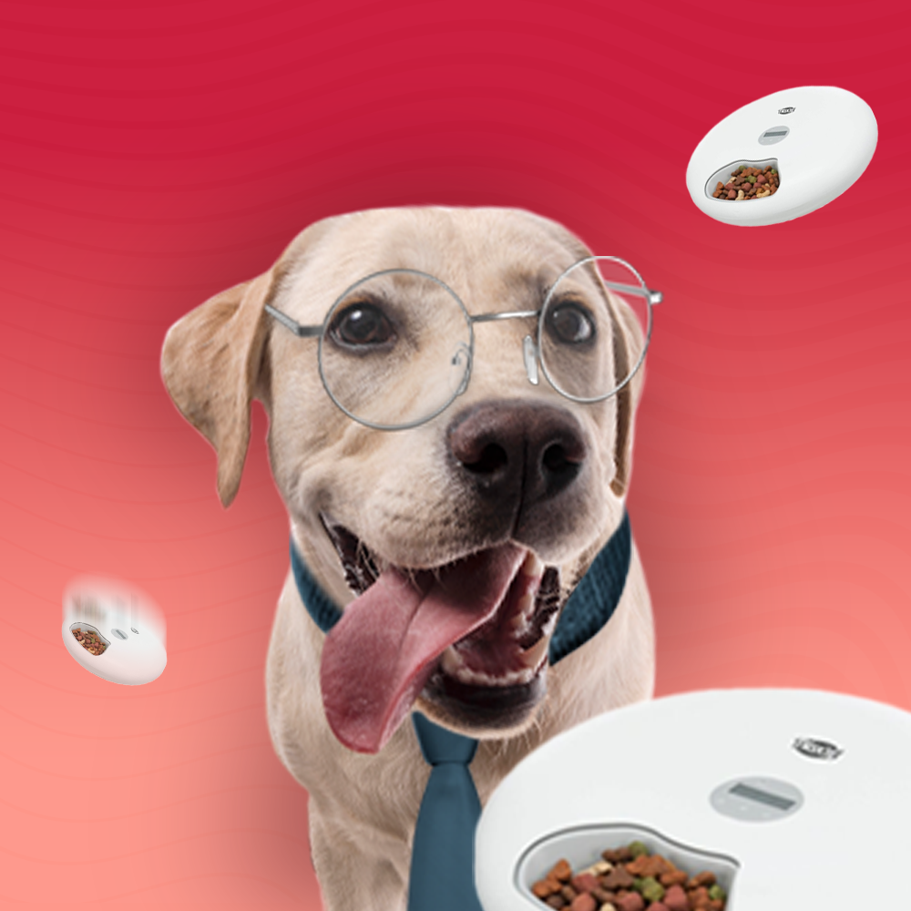 Автоматични хранилки за кучета