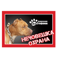 Стикер за входни врати или прозорци - питбул