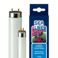 Ferplast Aquacoral Sealife - лампа за морски аквариум Т5