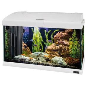 Ferplast - Aquarium Capri 60 LED - аквариум с пълно оборудване 60 л. 60/31.5/39.5 см.