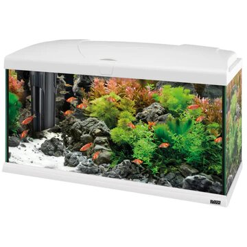 Ferplast - Aquarium Capri 80 LED - аквариум с пълно оборудване 100 л. 80/31.5/46.5 см.