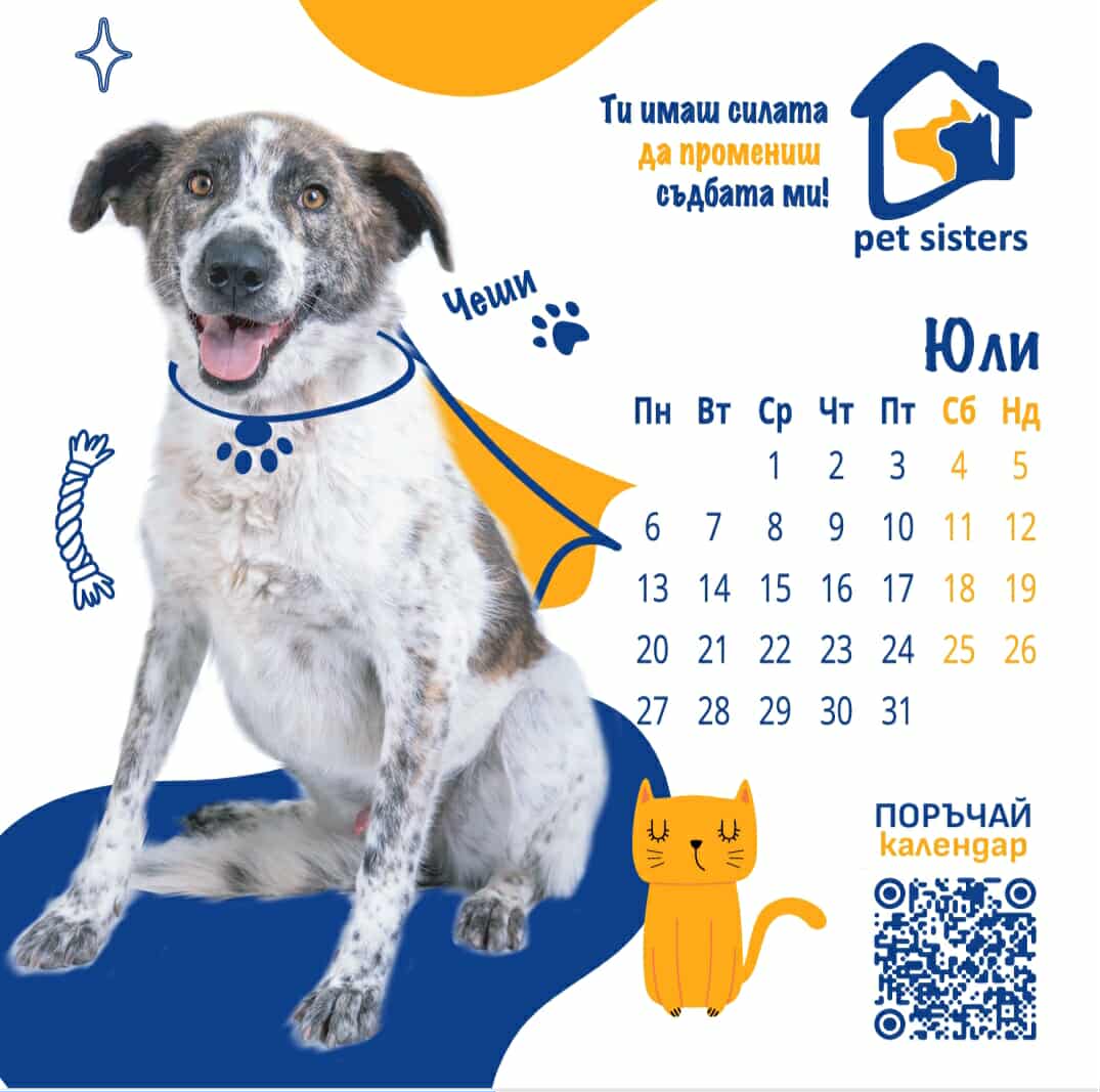 Pet Sisters - дарителски календар за 2026 година
