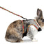 Flamingo Harness With Leash Art Joy - комплект повод и нагръдник