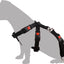 Flamingo Car Safety Harness Duma XL - предпазен нагръдник за автомобил 48,5 - 82,5 / 62 - 105 см