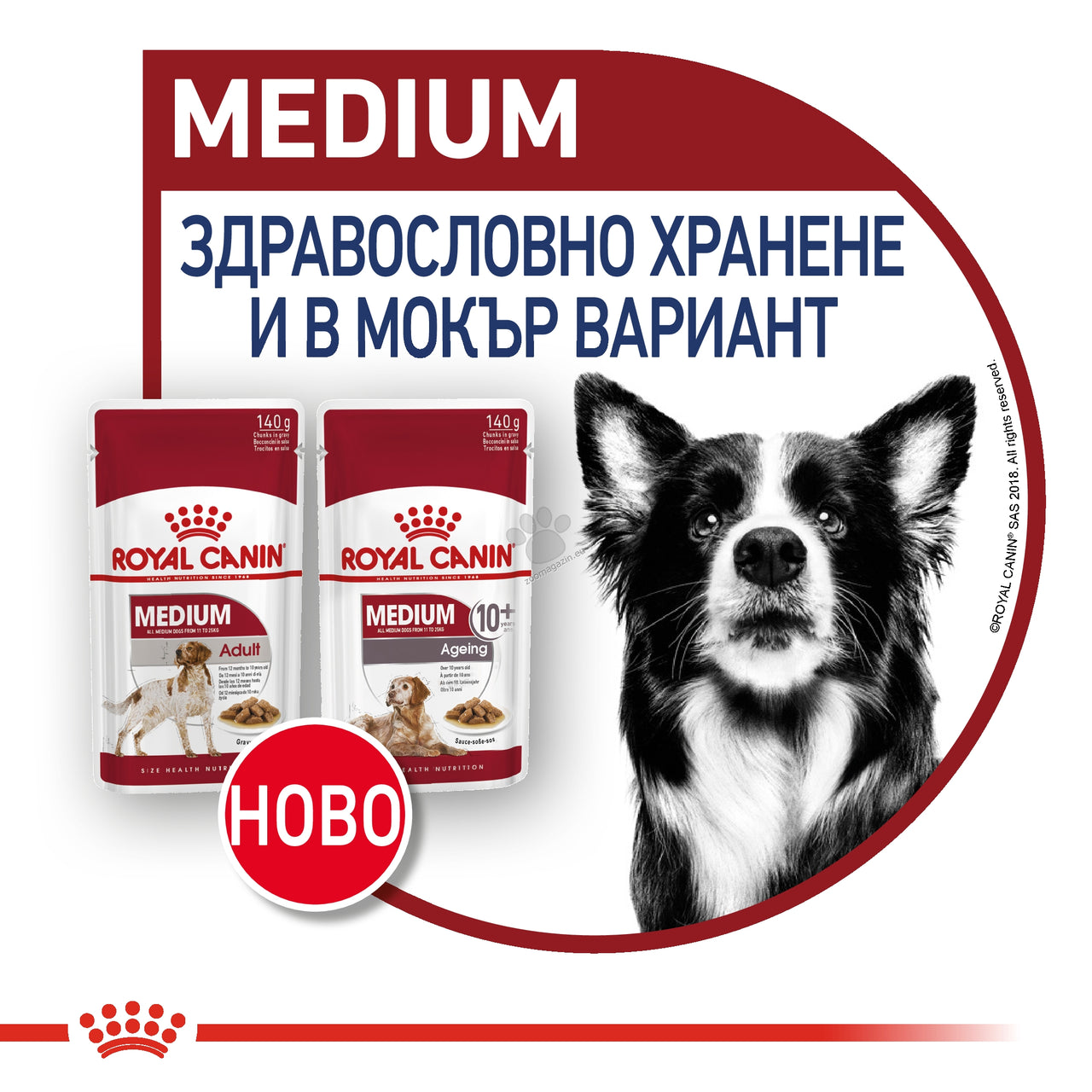 103dd22fbfb6d43896cbd780f7a80bd9.jpeg