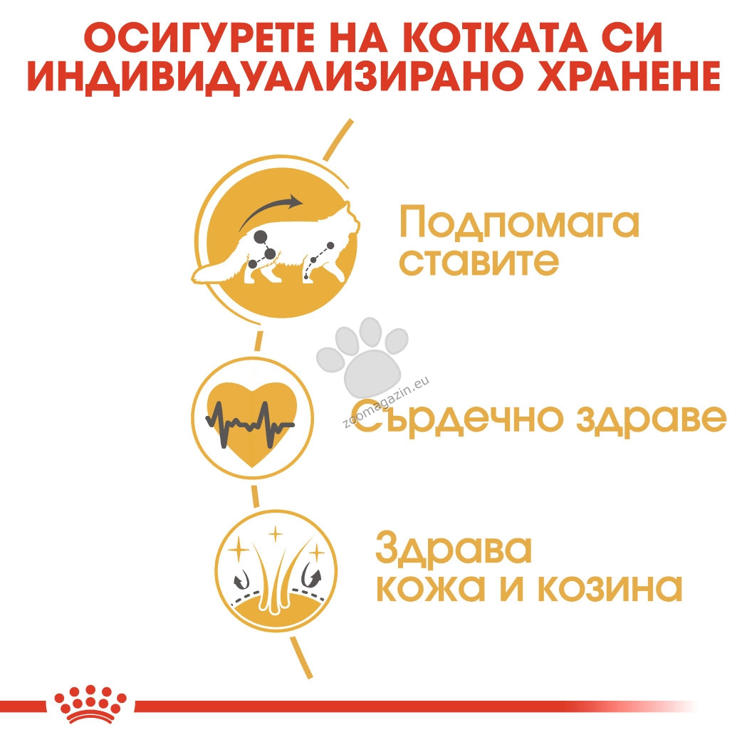 1049195dea88f0f04c5cb1aef476fc27.jpeg