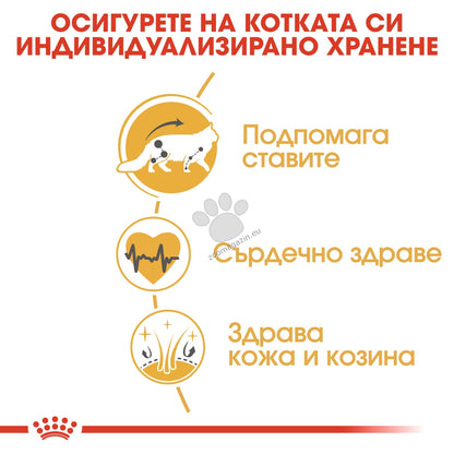 1049195dea88f0f04c5cb1aef476fc27.jpeg