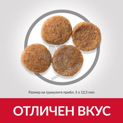 10816bf3be160d4931aae4c879656abb.jpeg