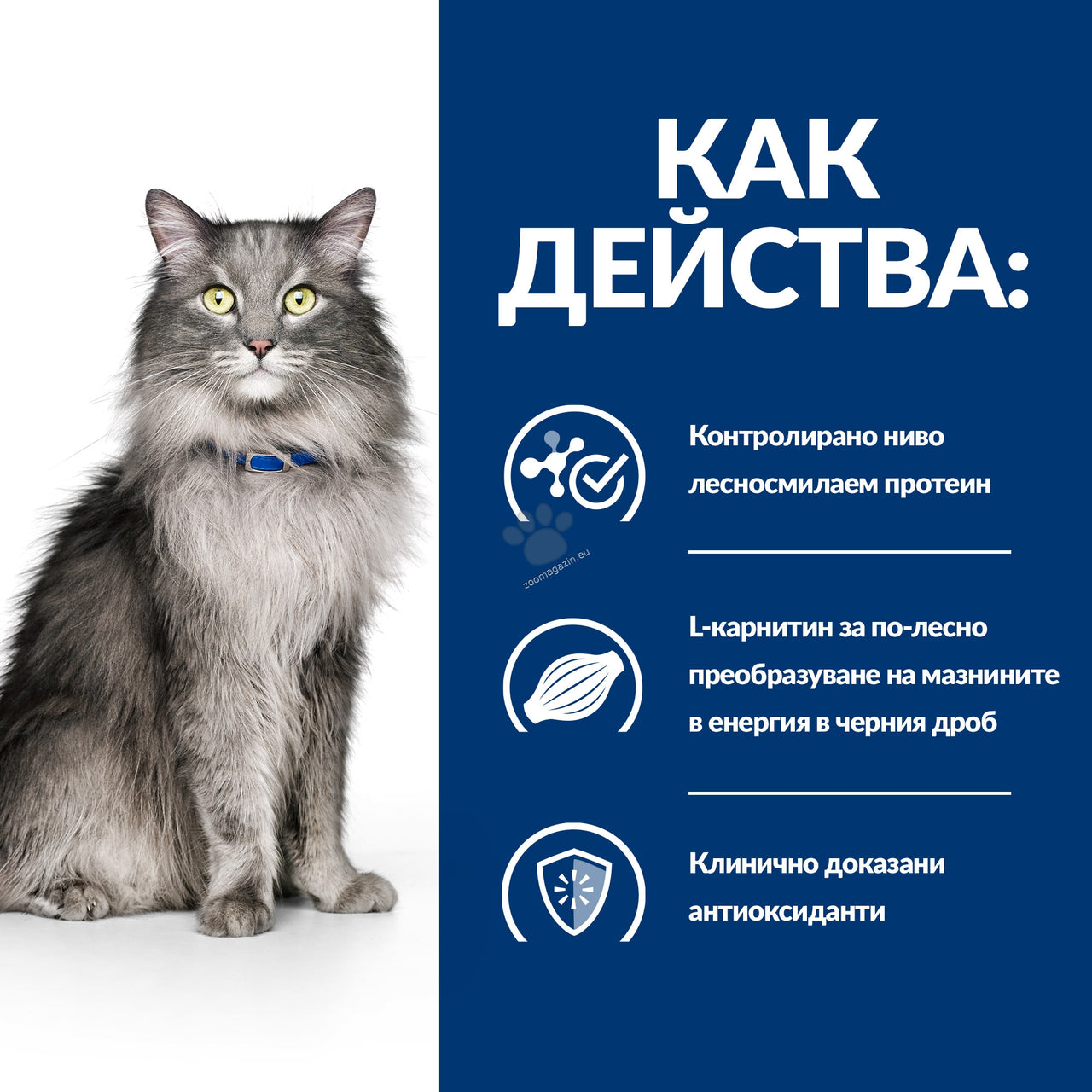 109acf16bf912d199f6a49221e196735.jpeg