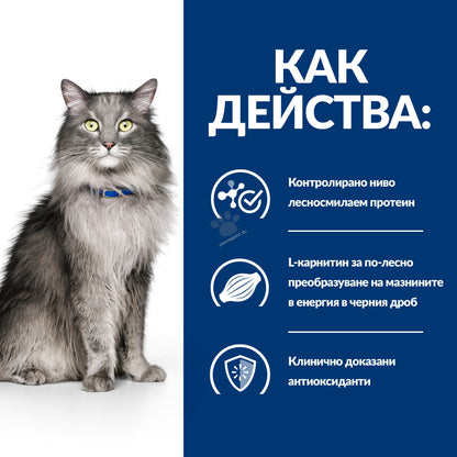 109acf16bf912d199f6a49221e196735.jpeg