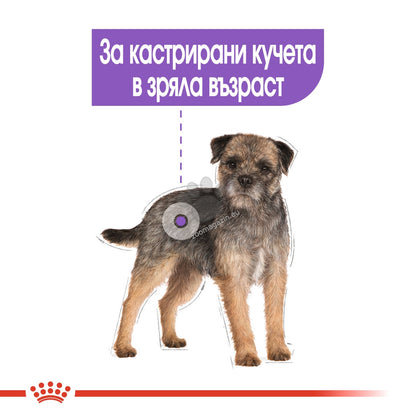 10d3b6c0e1acff5382d28da96676d10b.jpeg