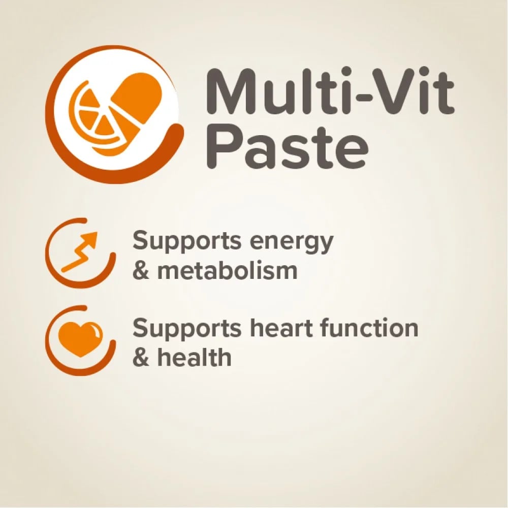 Beaphar Multi vitamin paste duo active - мултивитаминна паста 100 гр.