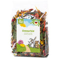 JR Farm Summer Field - лакомство за гризачи 100 г