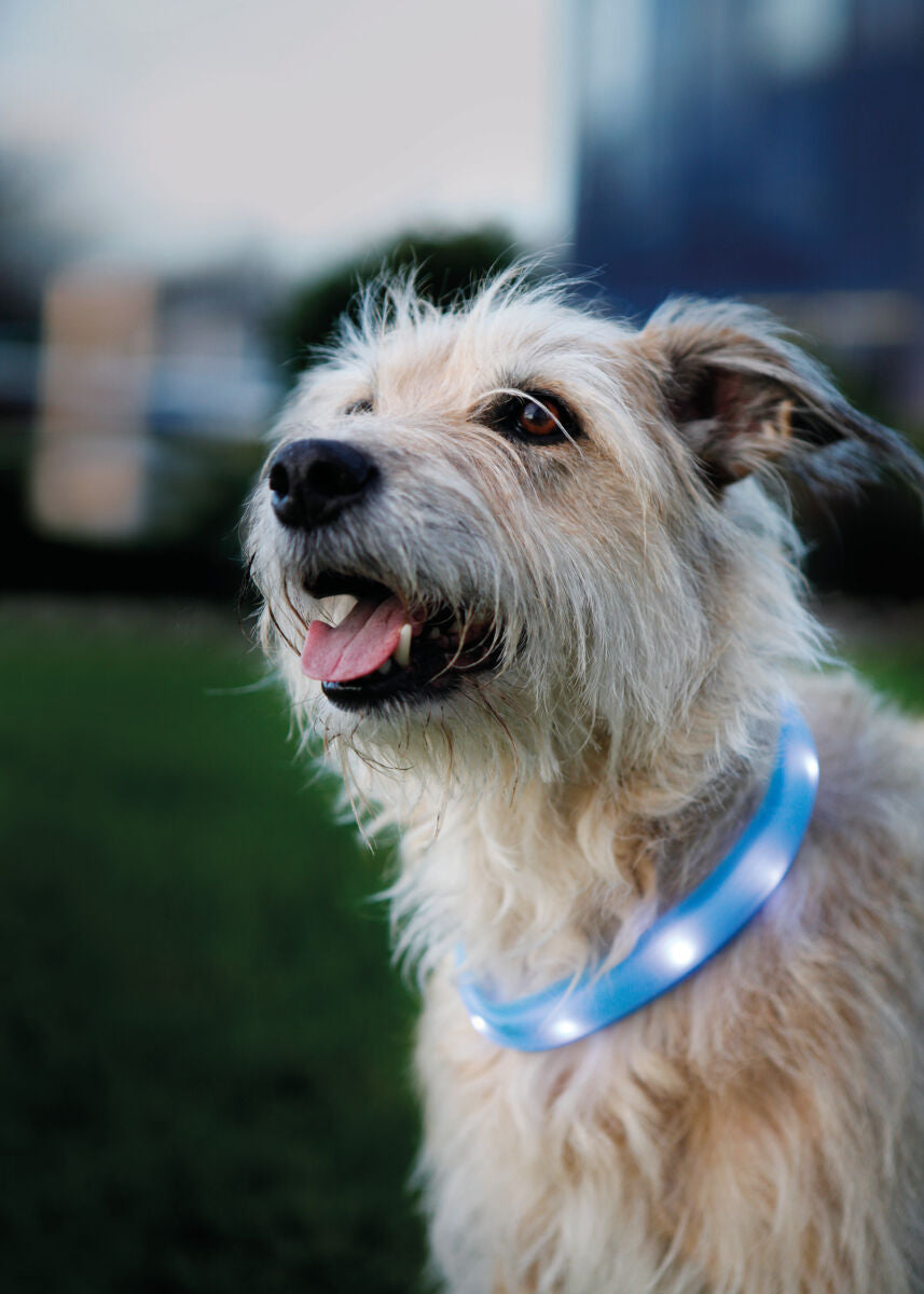 Trixie Flash Light Band USB - светещ нашийник 50 см