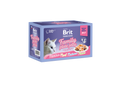 Brit Premium by Nature Fillets in Jelly Family Plate - паучове за котка в желе, микс от вкусове 12 х 85 гр
