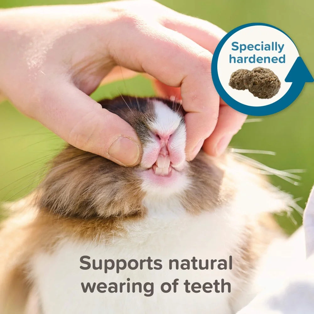 Beaphar Care Super Premium Senior - храна за възрастни мини зайчета 1.5 кг.