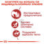 РАЗПРОДАЖБА Royal Canin Instinctive in Loaf - пълноценна храна за зрели котки 85 гр