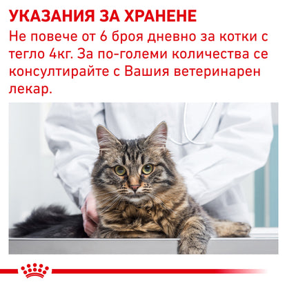15bc742eae75003b906fbea7617465c3.jpeg