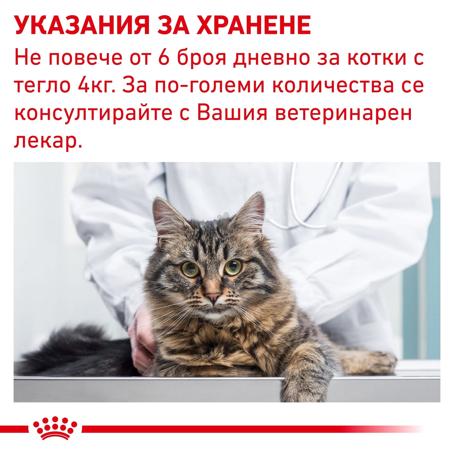 РАЗПРОДАЖБА Royal Canin Pil Assist Cat - лакомство за даване на хапчета 45 гр.