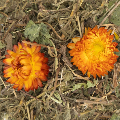 JR Farm Grainless Chamomile and Dandelion - лакомство с лайка и глухарче за гризачи 100 г