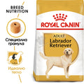 Royal Canin Labrador Retriever Adult - за кучета порода лабрадор на възраст над 15 месеца  12 кг.