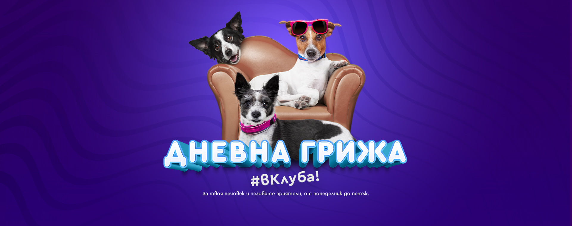 Дневна грижа
#вКлуба!
За твоя нечовек и неговите приятели, от понеделник до петък.