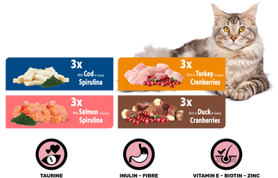 Rasco Premium Adult Sterilised - паучове за котка със сьомга, пуешко, патешко и треска 12 х 85 гр