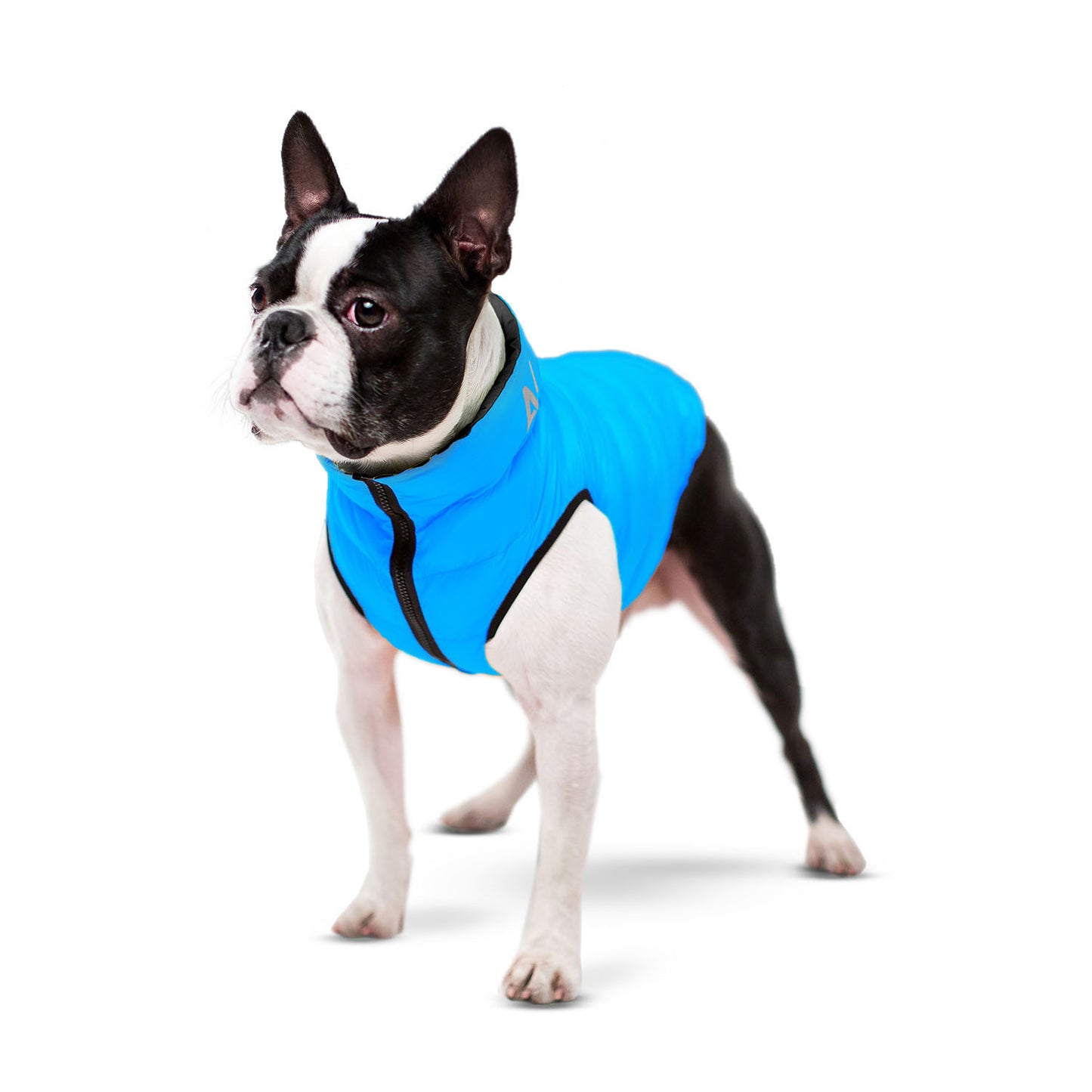 AiryVest Reversible Dog Jacket XS 30 - двулицево кучешко яке 27 / 30 см, черно / синьо