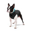 AiryVest Reversible Dog Jacket XS 30 - двулицево кучешко яке 27 / 30 см, черно / синьо