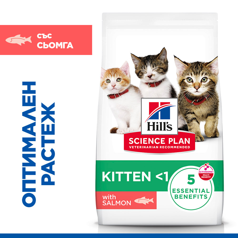 Hills Science Kitten Salmon - суха храна за котнеца със сьомга 1.5 кг