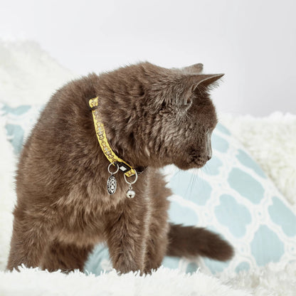 Max Molly Monkey Maniac Smart ID - security chip dog collar