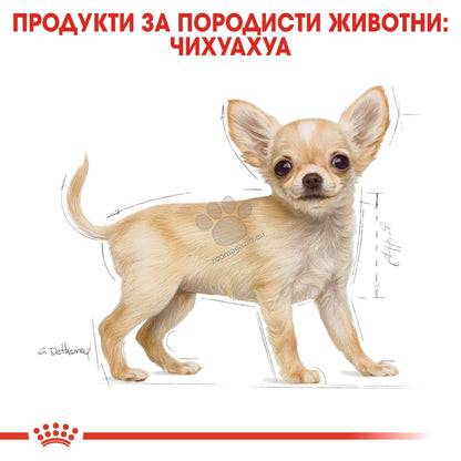 1ba25cfea5066ae31c84ec625e249c9e.jpeg