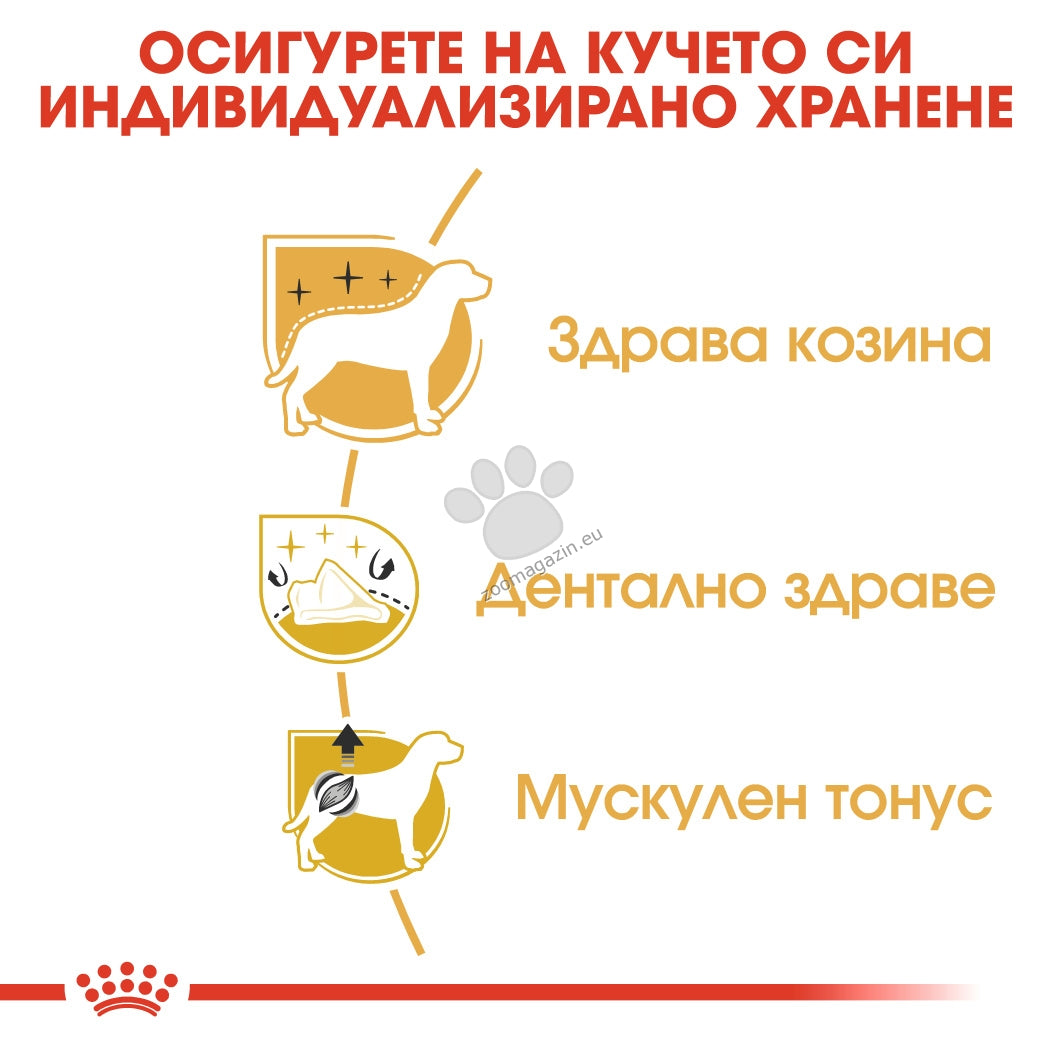 1c7bd1db605b1fb983281df3cc1208d0.jpeg