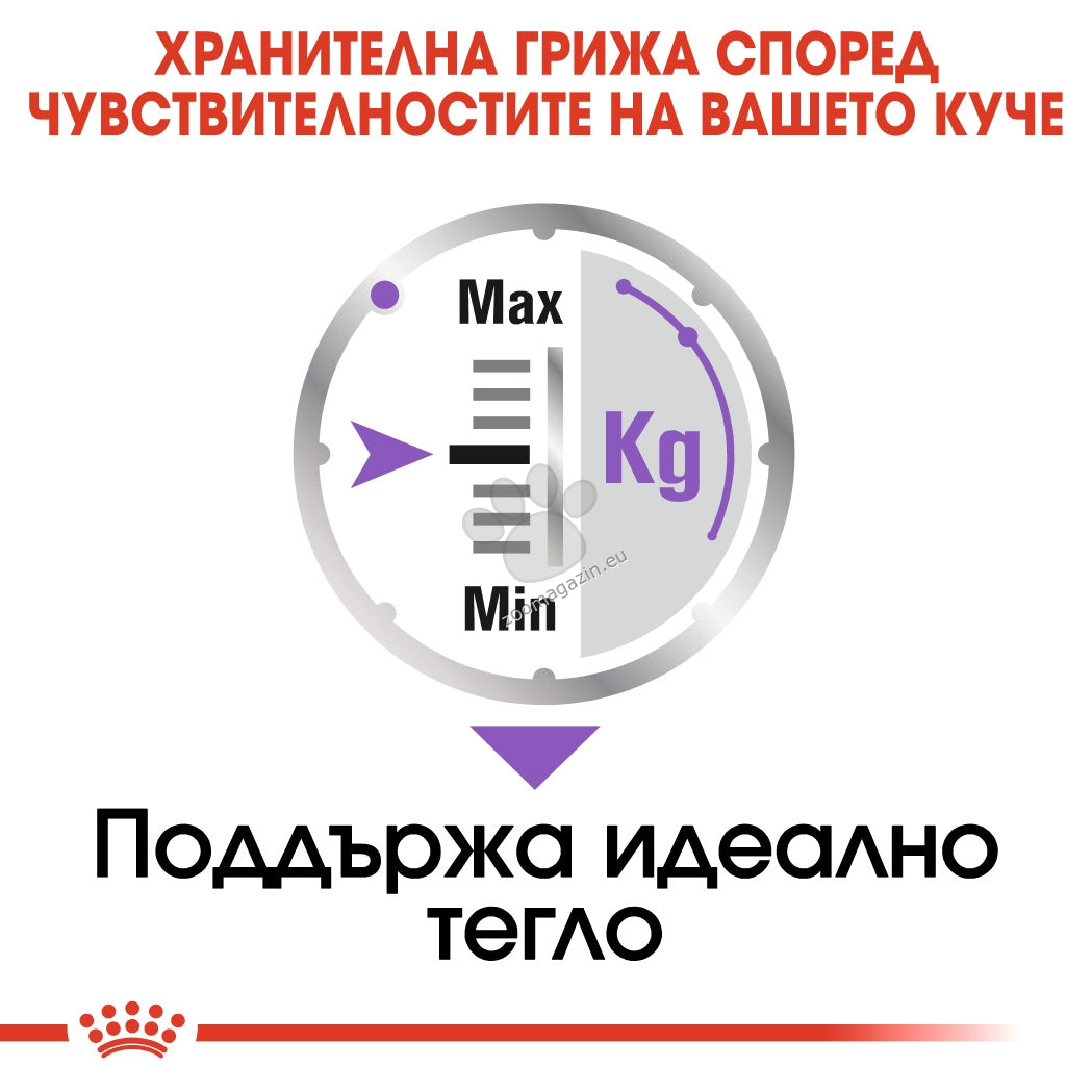 1d7ce07f270dd4113b008016fea9304c.jpeg