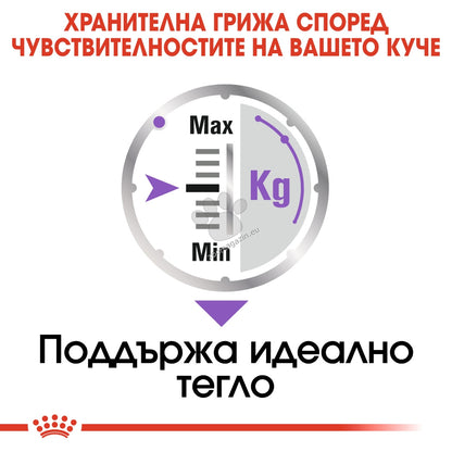 1d7ce07f270dd4113b008016fea9304c.jpeg