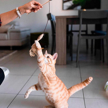 Ferplast - Cat toy made from wood and rope pa4998 - котешка играчка от натурални продукти