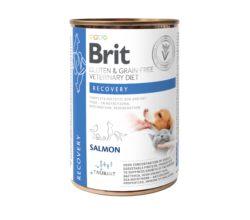 Brit GF Veterinary Diets Recovery - диетична храна за кучета и котки за хранително възстановяване и регенерация 400 гр