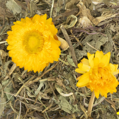 JR Farm Grainless Plus Evening Primrose and Dandelion - лакомство с вечерна иглика и глухарче за гризачи 100 г
