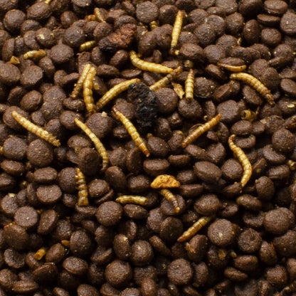 JR Farm Grainless Hedgehog Feed - суха храна без зърно за таралежи 750 г