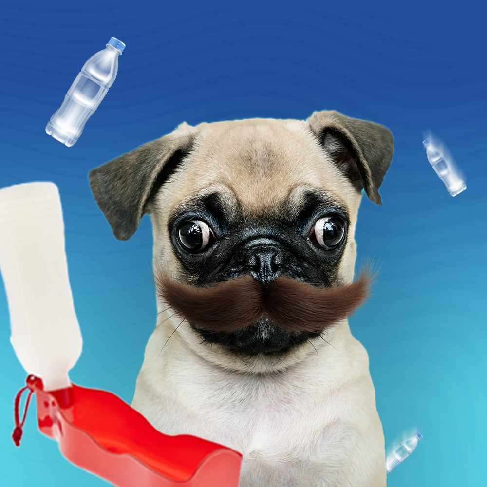 Шишета за вода