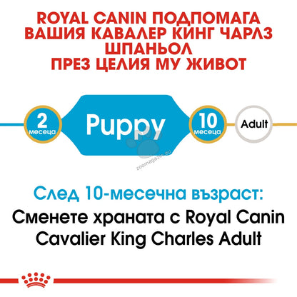 23bcfaa1a6205fc58046e0d0fb5a9343.jpeg
