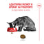 Royal Canin Fussy Cat - суха храна за капризни котки 2 кг