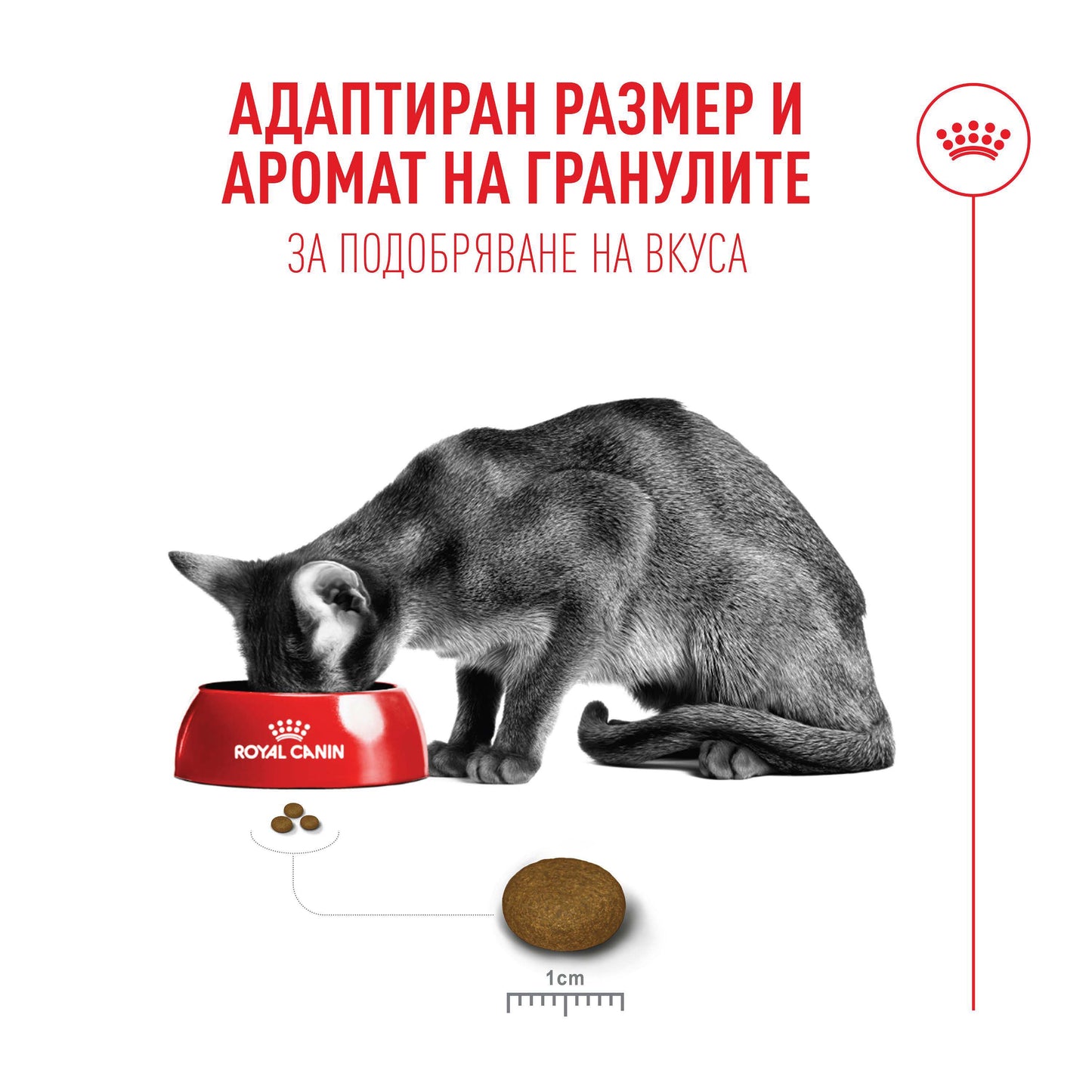 Royal Canin Fussy Cat - суха храна за капризни котки 2 кг