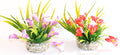 Sydeco Gala Lily 9 см / лилава, червена /