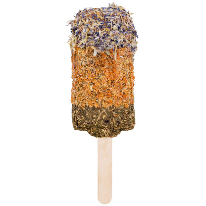 JR Farm Crispy Ice Lolly - лакомство за гризачи 45 г