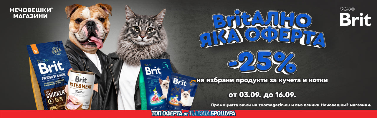 EN COLLECTIONS BRIT PROMO