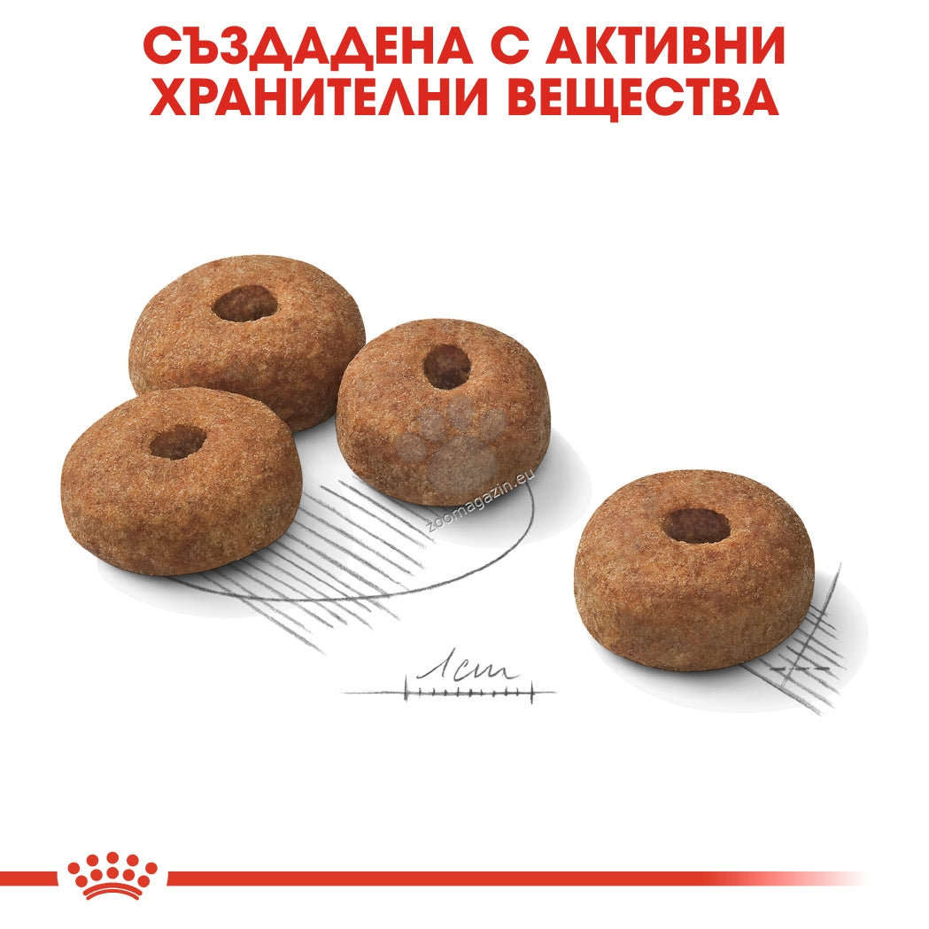 27c21ecf8eae1af2d4ef37a3cf0a59da.jpeg