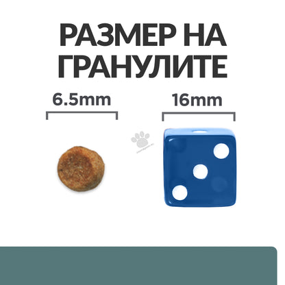 28f52ff6c764a9dc74fb61851505d284.jpeg