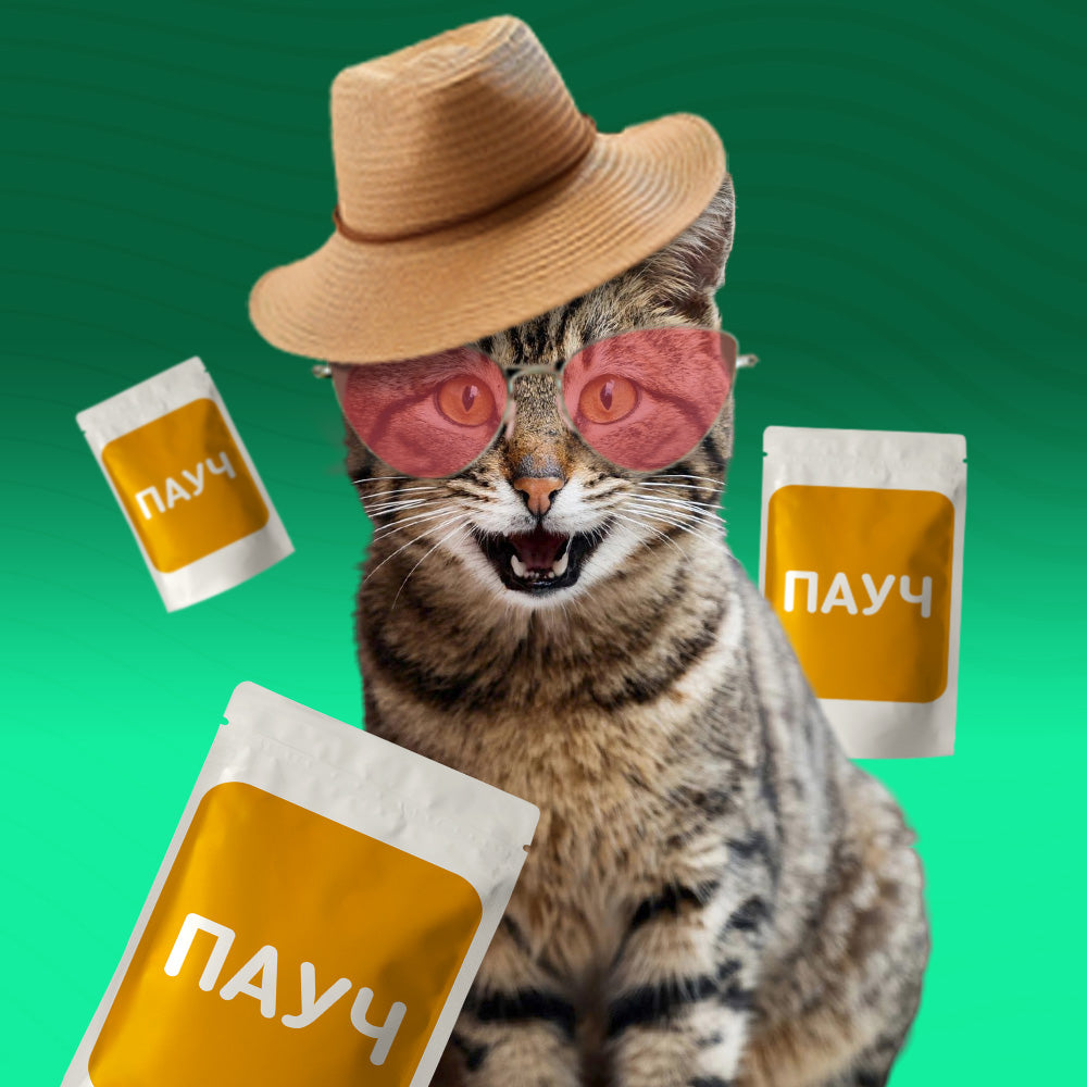 Паучове за котки